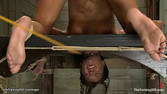 Bound beauty whipped and caned Thumb