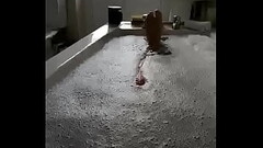 DaddyMGC Thumb